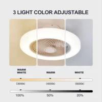 Smart Ceiling Fan Review (2026) — Best For Hallway?